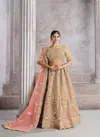 Kf 32 Chiku Banarasi Silk Patch Work Semi Bridal Lehenga Choli Online Wholesale